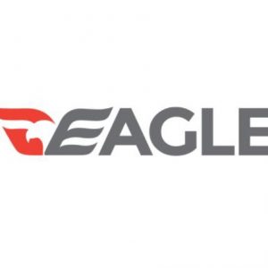 Desmopol Eagle Tecnoband Bandage 100mm x 120m