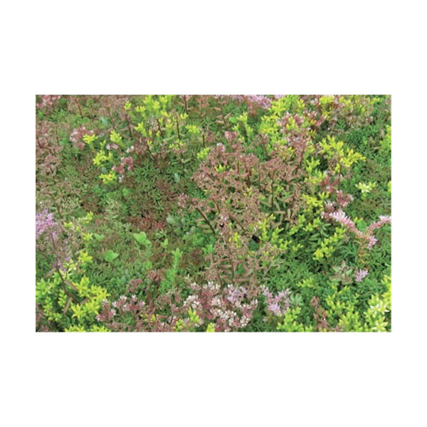 Additional Products image